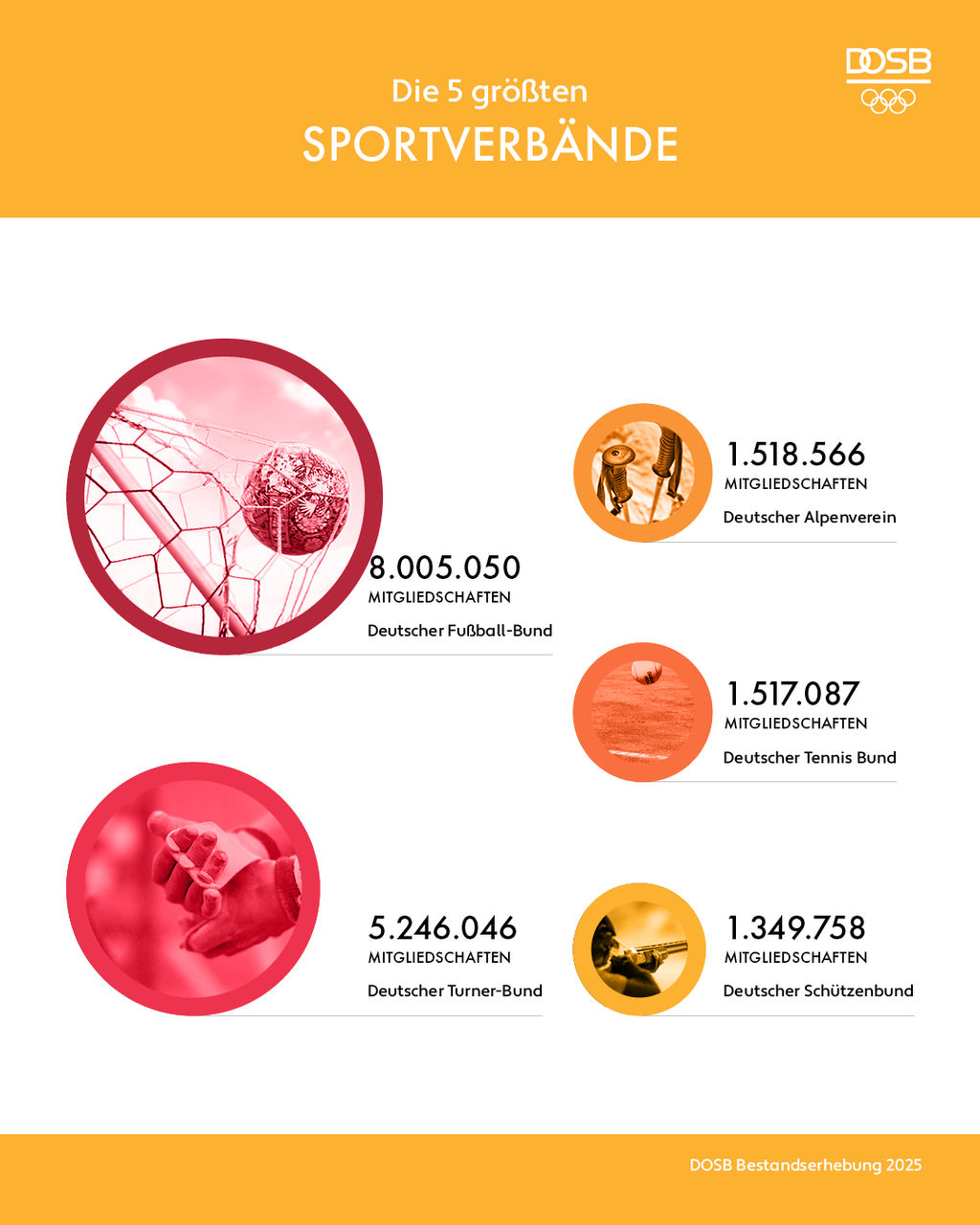 Top 5 Sportverbände